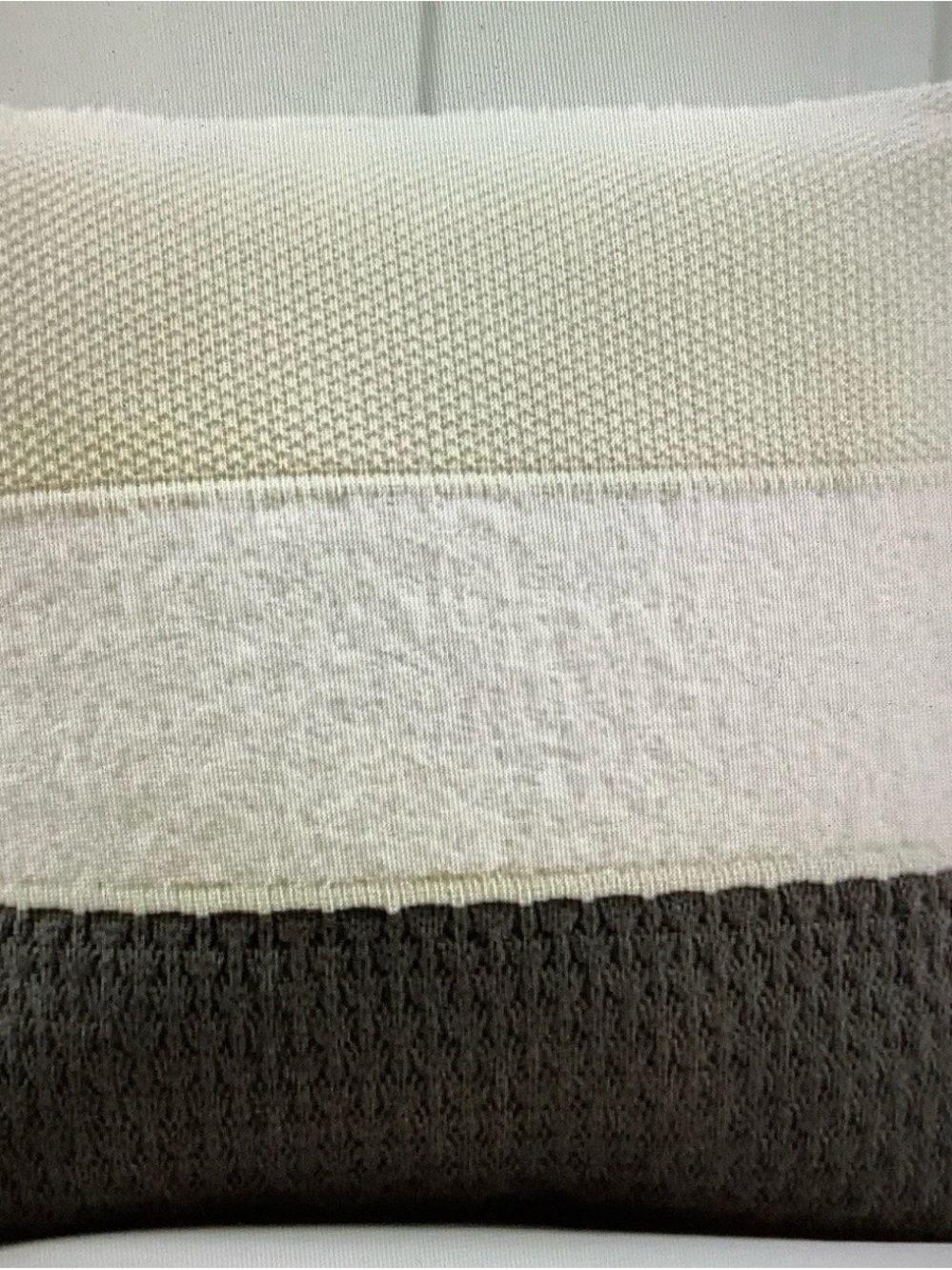 Pottery Barn Blakely 24” Pillow Covers (3)